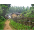 旅行风景903
