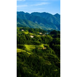 旅行风景905