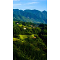 旅行风景905
