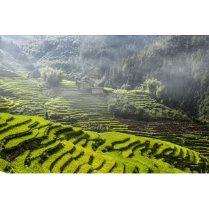 旅行风景906