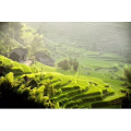 旅行风景909
