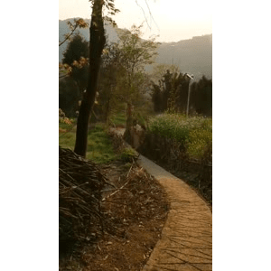 旅行风景913