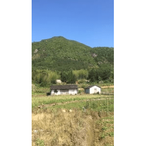 旅行风景917