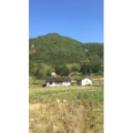 旅行风景917