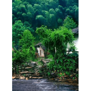 旅行风景921