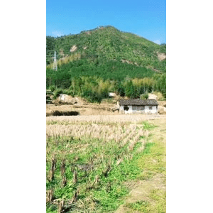 旅行风景923