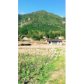 旅行风景923