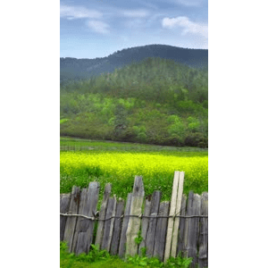 旅行风景924