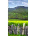 旅行风景924