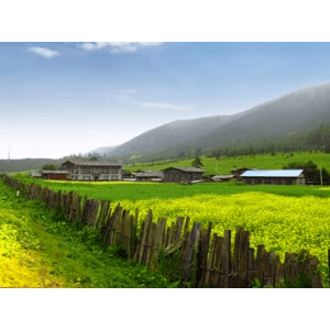 旅行风景925