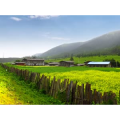 旅行风景925