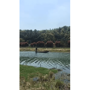 旅行风景932