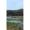 旅行风景932