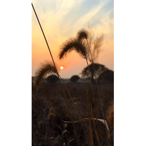 旅行风景953