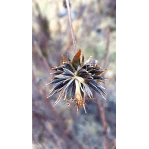 旅行风景955