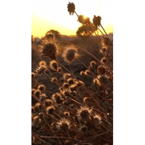 旅行风景957