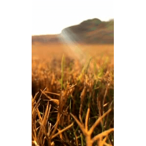 旅行风景961