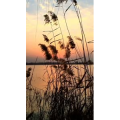 旅行风景963