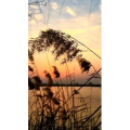 旅行风景970