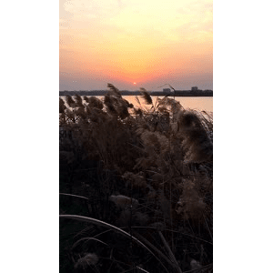 旅行风景976