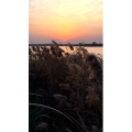 旅行风景976