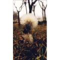 旅行风景979