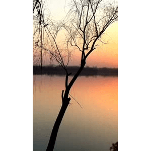 旅行风景986