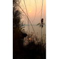 旅行风景988