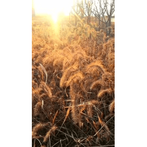 旅行风景991