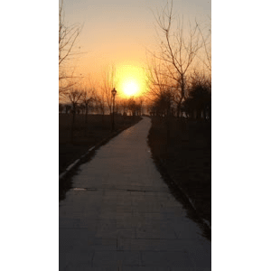 旅行风景993
