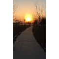 旅行风景993