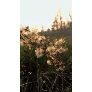 旅行风景1010