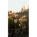旅行风景1010