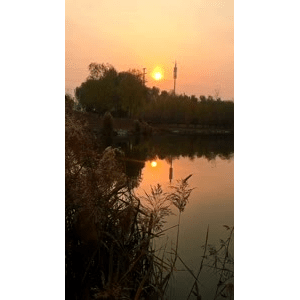 旅行风景1016
