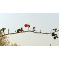 旅行风景1023