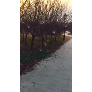 旅行风景1027