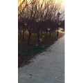 旅行风景1027