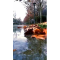 旅行风景1034