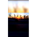 旅行风景1036