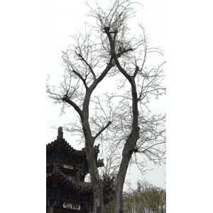 旅行风景1047