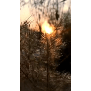 旅行风景1058