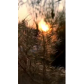 旅行风景1058