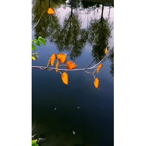 旅行风景1059