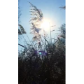旅行风景1060