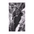 旅行风景1074