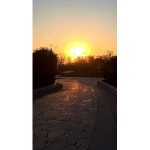 旅行风景1084