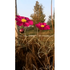 旅行风景1092
