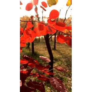 旅行风景1102