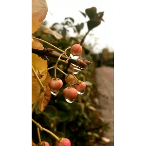 旅行风景1112
