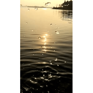旅行风景1118
